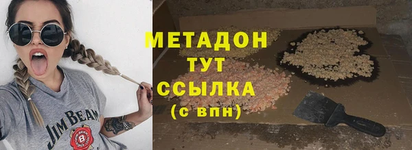 индика Вяземский